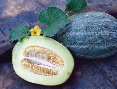 Heirloom Melon Varieties Image